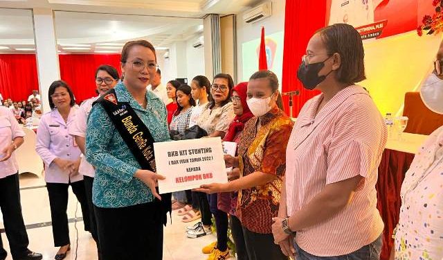 DPPKB Ambon Gelar Rapat Advokasi Program Bangga Kencana Penurunan Stunting