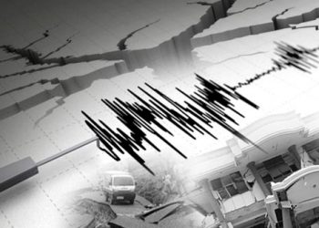 Gempa 7,5 SR Maluku, PLN Pastikan Sistem Kelistrikan Aman dan Pemulihan Berjalan Cepat