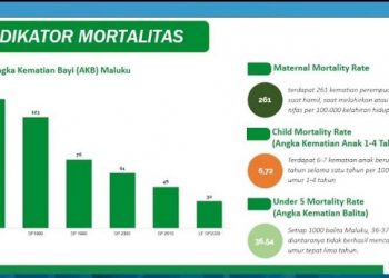 BPS: Angka Kematian Bayi di Maluku Turun