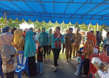 TP-PKK Ambon Gencar Monitoring Penanganan Stunting