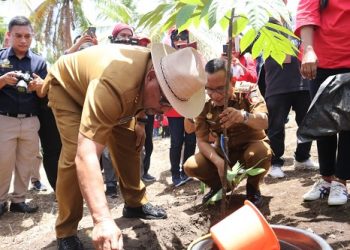 Gubernur Maluku Instruksikan Galakan Tanam Sukun di Maluku