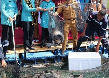 24 Petak Kerampa Jaring Apung Dipanen