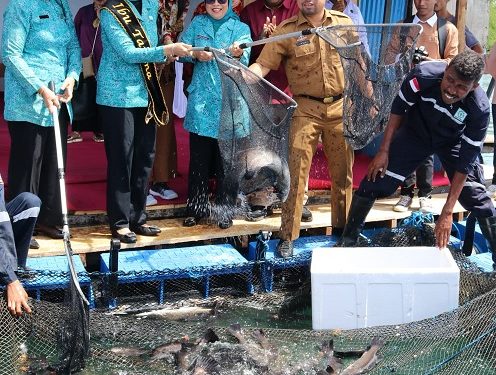 24 Petak Kerampa Jaring Apung Dipanen