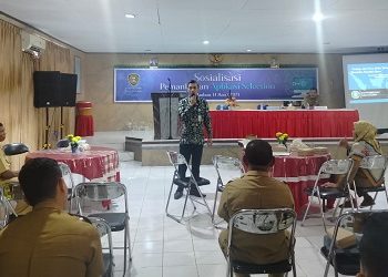 Pemprov Maluku Libatkan BSSN Sosialisasi Pemanfaatan Aplikasi Selection Versi 3.0