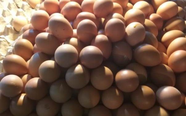 Telur dan Minyak Kelapa Beranjak Naik