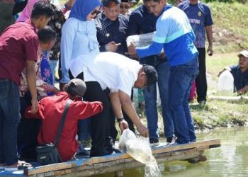 Gubernur Tebar 1.500 Benih Ikan Nila di Desa Waelete, Kabupaten Buru