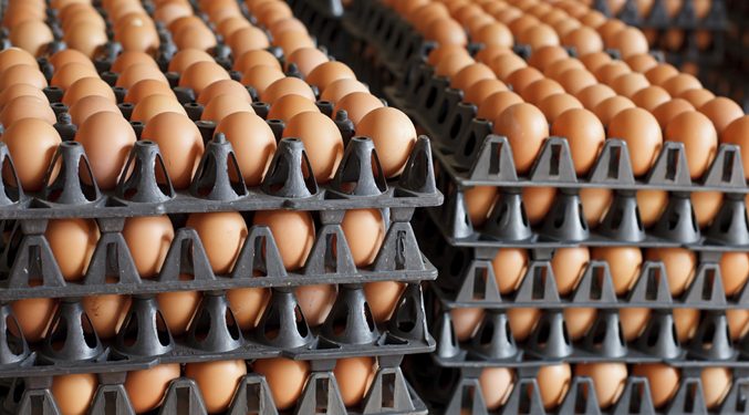 Harga Ikan dan Telur ‘Bersaing Ketat’ di Pasar Tradisional Ambon