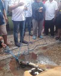 Serahkan 14 Hewan Kurban, BMW : Jumlah Ini Cerminan Nomor Urut Partai Demokrat