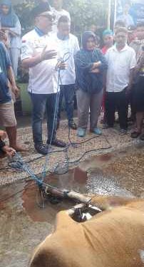 Serahkan 14 Hewan Kurban, BMW : Jumlah Ini Cerminan Nomor Urut Partai Demokrat