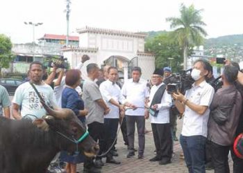 DPRD Maluku Serahkan Hewan Kurban Kepada Masjid Al-Fattah