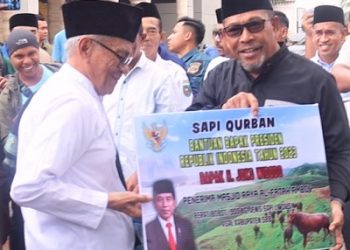 Sapi Bantuan Presiden Diserahkan Gubernur Maluku di Al-Fatah