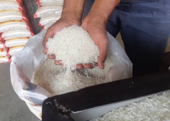 Harga Beras Naik, Pemkot Ambon dan Bulog Akan Operasi Pasar