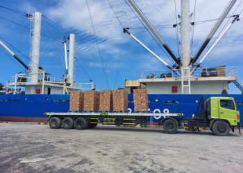 BPS: Agustus 2023, Ekspor Maluku Turun 83,58 Persen