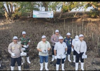 Jelang HLN ke-78, PLN Tanam 2000 Anakan Mangrove di Waai