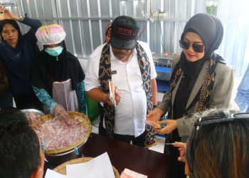 Gubernur Resmikan Bangsal Pasca Panen Bawang Merah di Malra