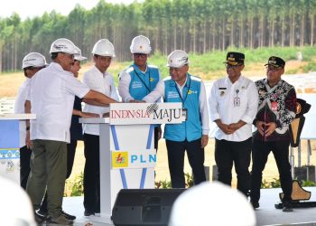 Presiden Jokowi Groundbreaking Pembangunan PLTS PLN 50 MW