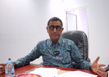 Ketua TGPP Maluku: Pertumbuhan Ekonomi Maluku Naik Signifikan