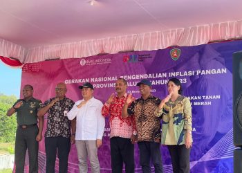 Dorong Ketahanan Pangan, BI Gandeng TPID Maluku Gelar GNPIP 2023