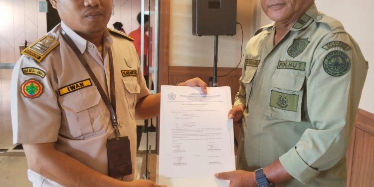 Tiga Ekor Burung Kakatua Dari Sorong Ditahan Karantina Maluku