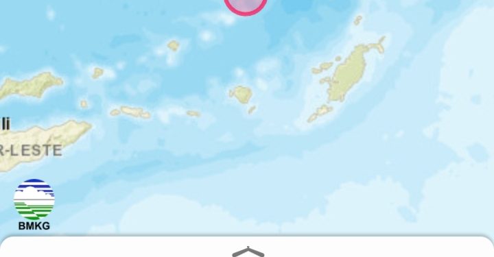 BMKG Imbau Warga Pesisir Maluku, NTT dan Sultra Waspada Tsunami Dampak Gempa M7,2 SR