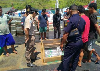 Ratusan Ton Ikan Beku Dari Pulau Buru Dikirim ke Provinsi Bali