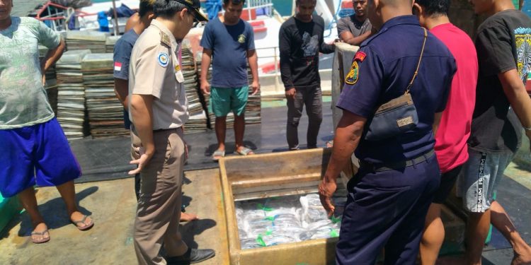 Ratusan Ton Ikan Beku Dari Pulau Buru Dikirim ke Provinsi Bali