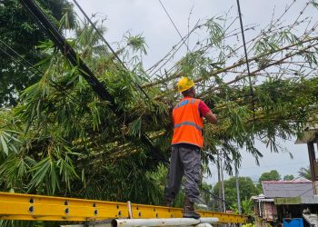 Cuaca Ekstrem, PLN UIW MMU Minta Warga Lapor Gangguan Kelistrikan