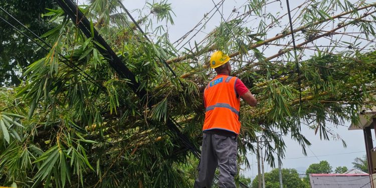 Cuaca Ekstrem, PLN UIW MMU Minta Warga Lapor Gangguan Kelistrikan