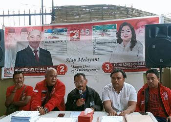 Agustinus Pical Bakal Laporkan Kecurangan Suara Partai dan Caleg ke MK RI