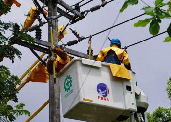 Tim PDKB PLN UIW MMU Lakukan Pemeliharaan Infrastruktur Kelistrikan