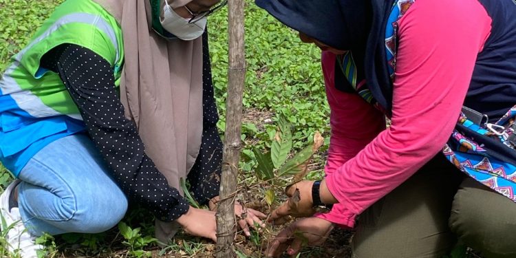 PLN UIW MMU Konsisten Jaga Hutan Lindung di Weda