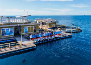 Hasil Kolaborasi PT PIS dan KLHK Sukses Temukan Individu Baru di Teluk Cendrawasih Nabire