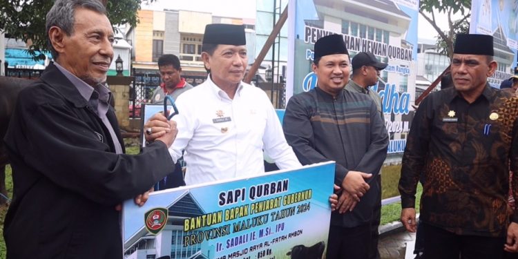 Pemprov Maluku Serahkan Hewan Kurban Kepada Masjid Al-Fatah Ambon
