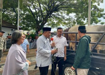 Pemkot Ambon Serahkan 75 Ekor Sapi dan Kambing Kepada Kelompok Masyarakat