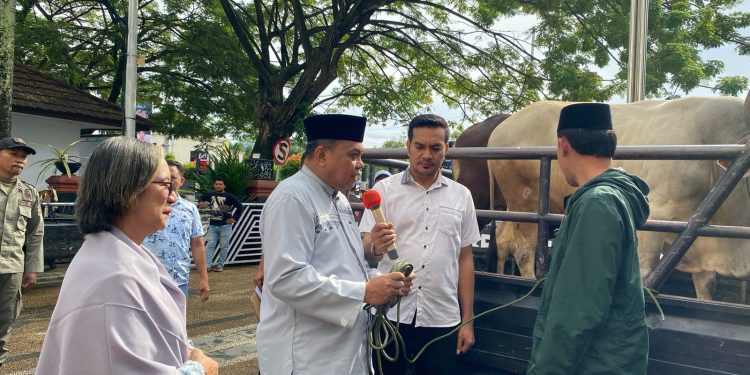 Pemkot Ambon Serahkan 75 Ekor Sapi dan Kambing Kepada Kelompok Masyarakat