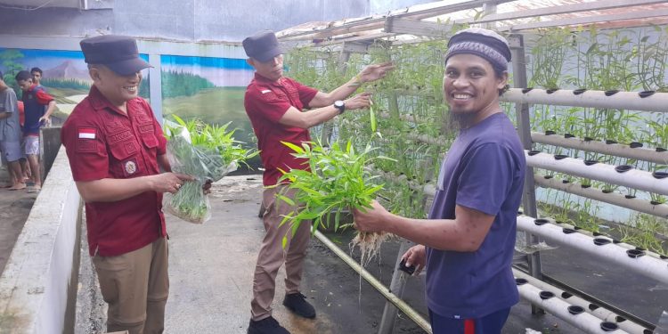 Berdayakan Warga Binaan, Rutan Ambon Panen Sayuran Hidroponik
