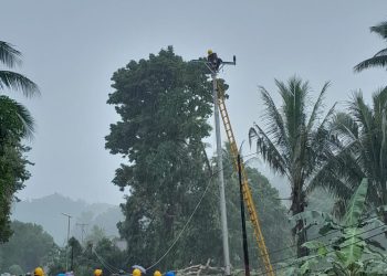 PLN UP3 Masohi Sigap Pulihkan Kelistrikan Daerah Terdampak Cuaca Ekstrem
