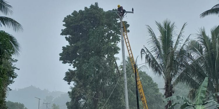 PLN UP3 Masohi Sigap Pulihkan Kelistrikan Daerah Terdampak Cuaca Ekstrem