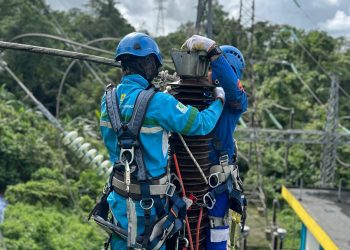 Jelang HUT RI, PLN UP3B Maluku Lakukan Pemeliharaan dan Pembersihan pada Bay Line Wayame dan Gantry Passo