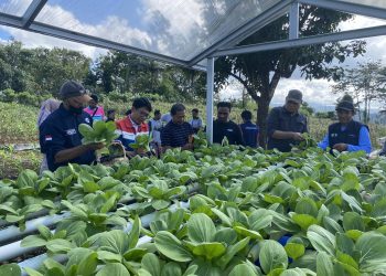 Integrated Terminal Wayame Gandeng Kelompok Proklim Dusun Keranjang Tanam 500 Bibit Pohon