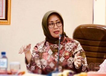 Dewan Pers Gelar Workshop Peliputan Pemilu di Maluku, Ninik Rahayu Ajak Pers Kawal Pemilu Yang Demokratis
