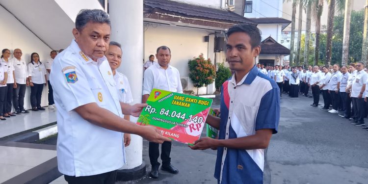 Pemkot Ambon Ganti Rugi Tanaman Warga Akibat Pembangunan Jalan Lingkar Seri Hinga Hukurila