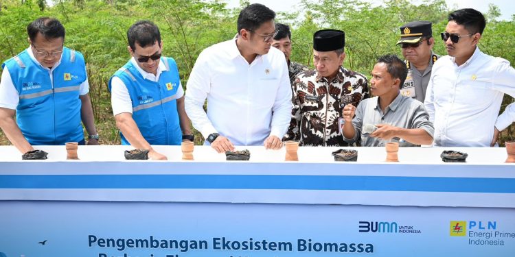 PLN Bersama Kementan Luncurkan Model Pertanian Terpadu di Kabupaten Tasikmalaya