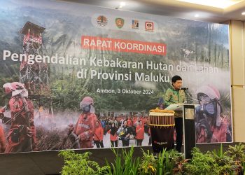 Pemprov Maluku Gelar Rakor Pengendalian Kebakaran Hutan dan Lahan
