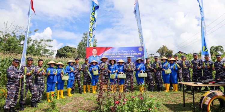 Dukung KPN, Lantamal IX Ambon Panen Raya Jagung dan Pare di Telaga Kodok