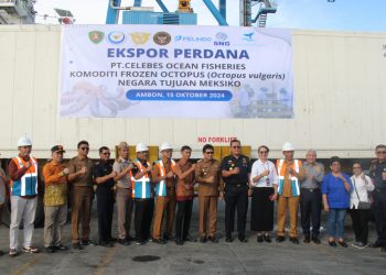 Maluku Ekspor 15,83 Ton Frozen Octopus ke Meksiko