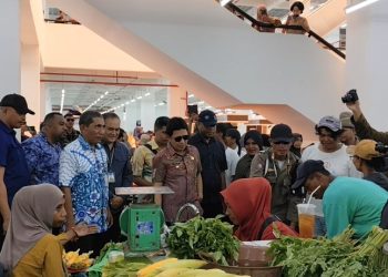 PJ Gubernur Maluku Tinjau Pasar Inflasi Daerah di Mardika