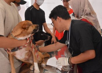 Peringati HUT ke-147, Balai Karantina Maluku Gelar Aksi Donor Darah dan Vaksinasi Rabies
