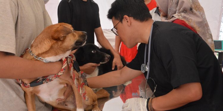Peringati HUT ke-147, Balai Karantina Maluku Gelar Aksi Donor Darah dan Vaksinasi Rabies