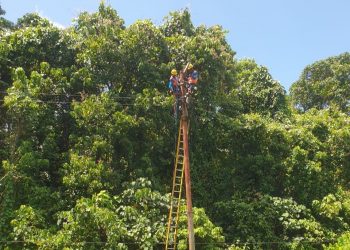 PLN ULP Bula Gerak Cepat Pulihkan Sistem Kelistrikan di Dusun Niff